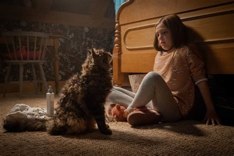  Pet Sematary: 蘇りの恐怖と、愛する者の死からの逃避